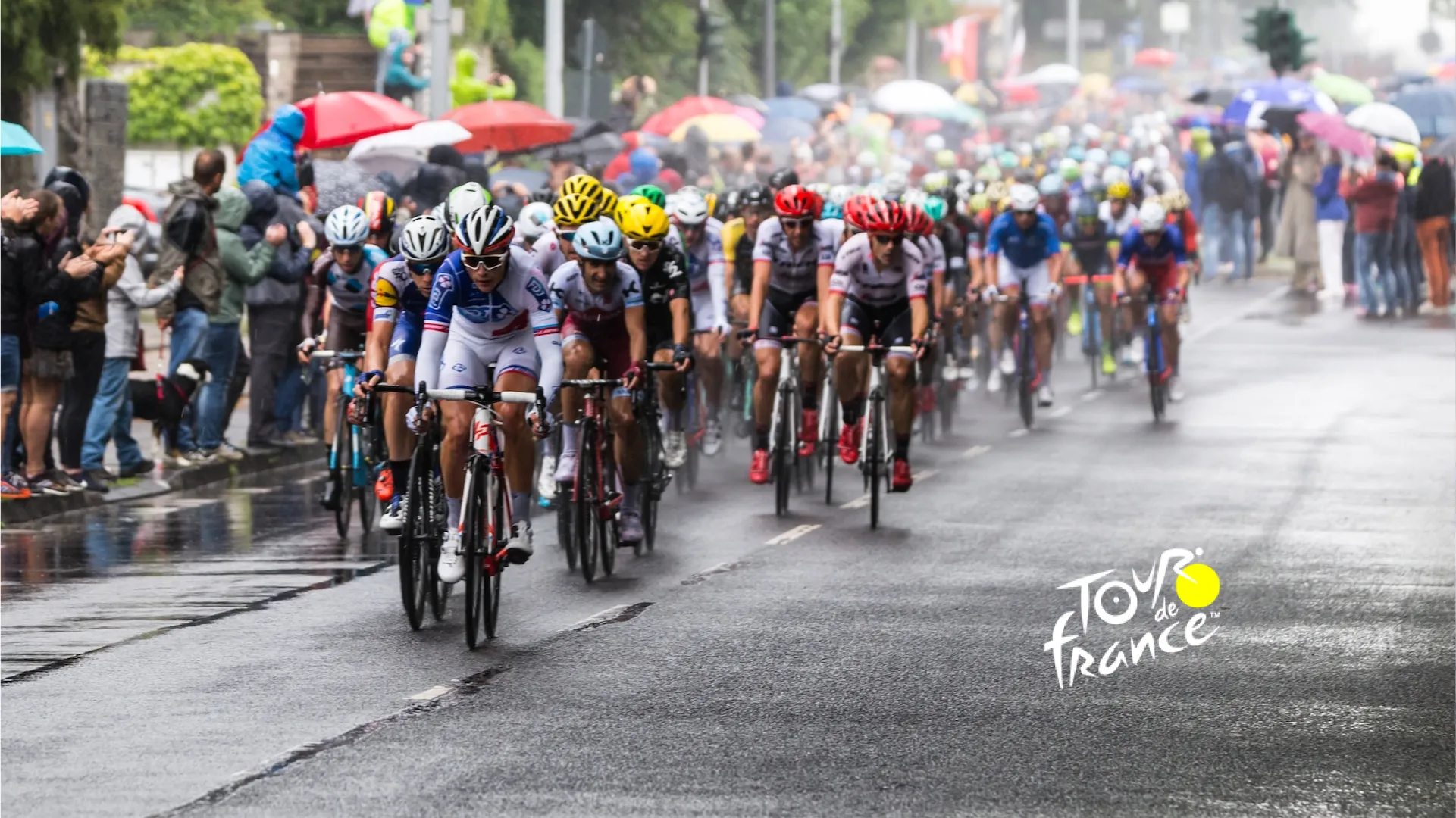 logex Praha zajišťuje doprovodné vozy na Tour De france